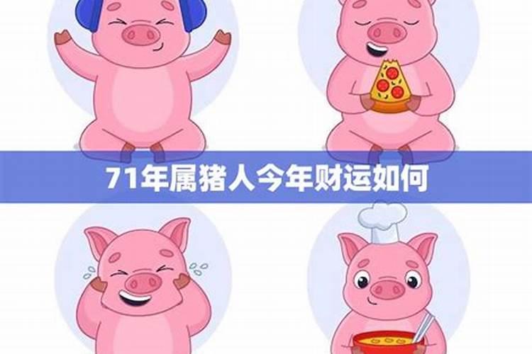 71年出的猪今年运势及财运