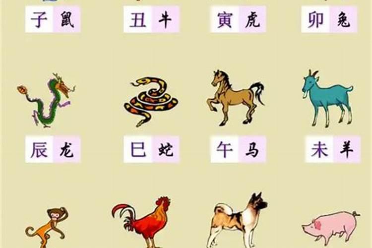 04年正月初二出生属相是