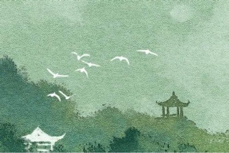 坤命西四命的一生运势