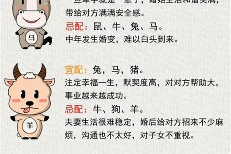 属马的女跟属什么男合婚？