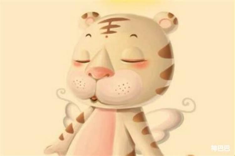 属虎破太岁什么意思？