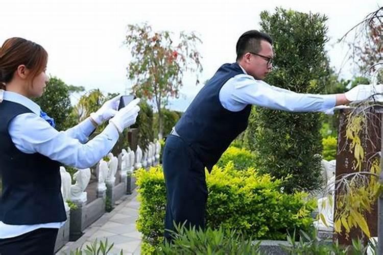 清明代祭服务