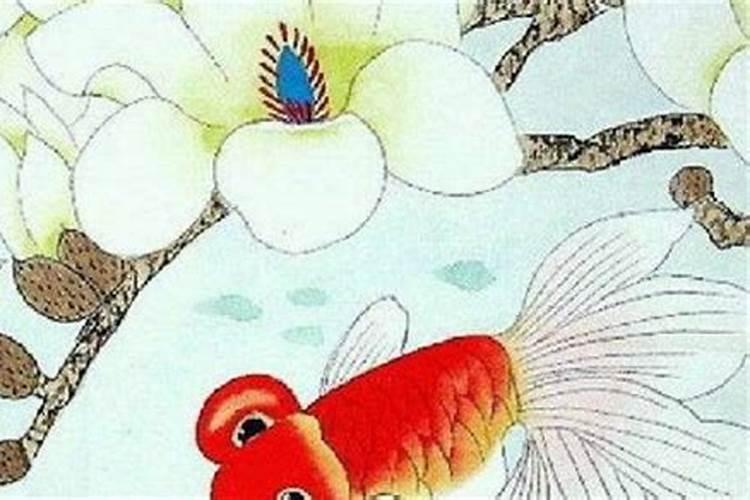 癸酉年和哪年合婚？