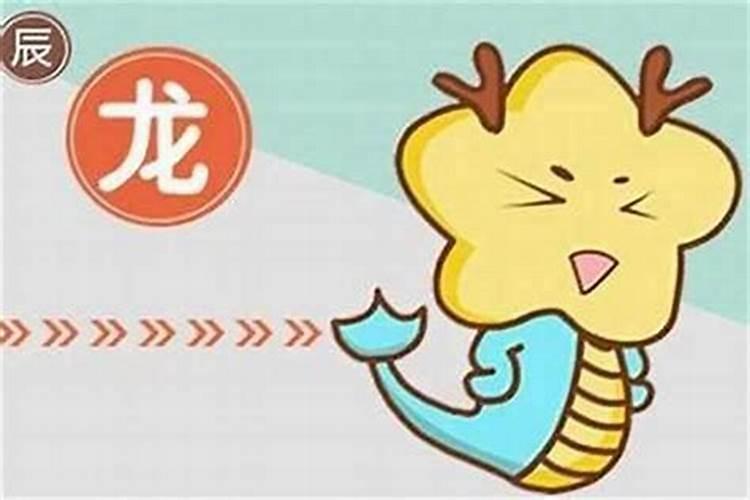 两个属龙的八字合吗？