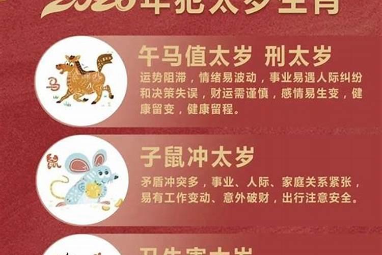 今年十二属相运程