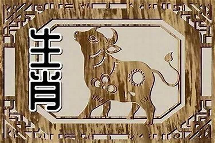 女孩哪个属相好？