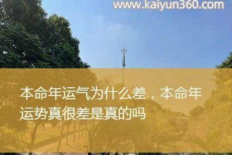 本命年运气不错的第二年肯定差