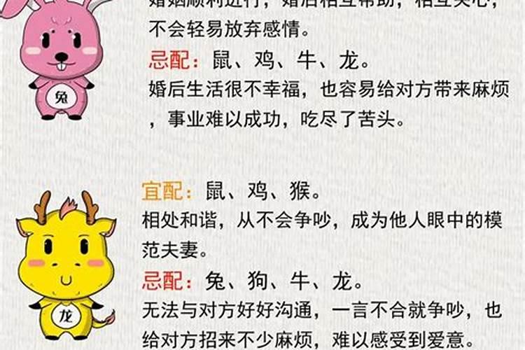 男属马和属牛的合婚吗？