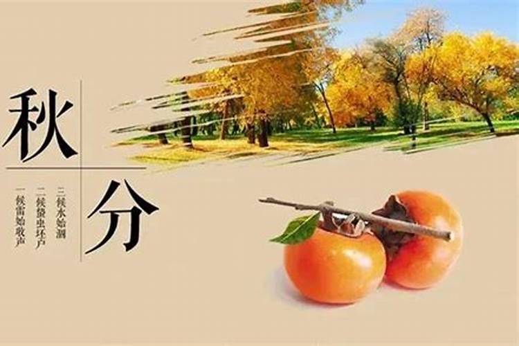 秋分节气的特点和风俗幼儿园