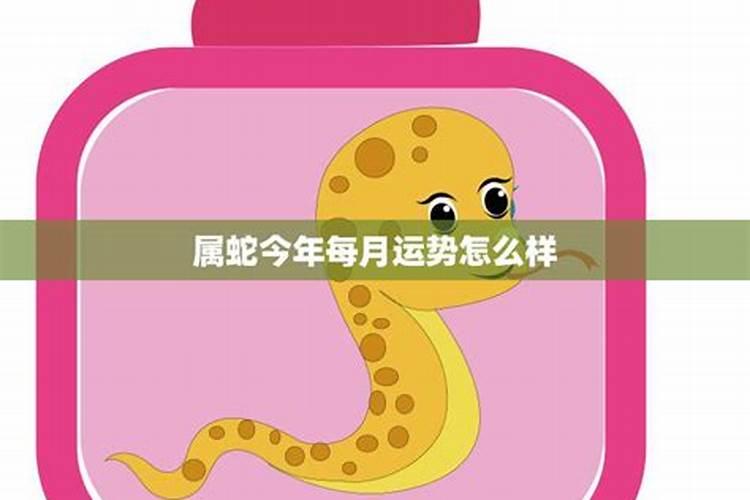 属蛇的今年7月运势怎么样？