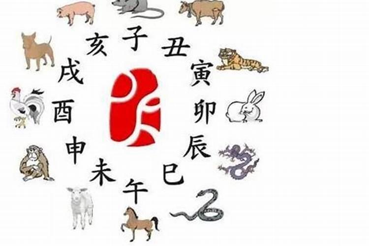 77年出生的人一生运程如何？