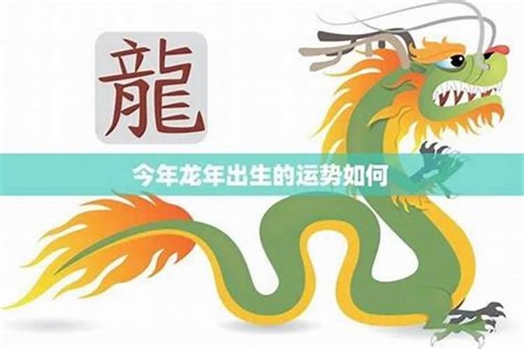 农历2026年12月属龙运势如何？