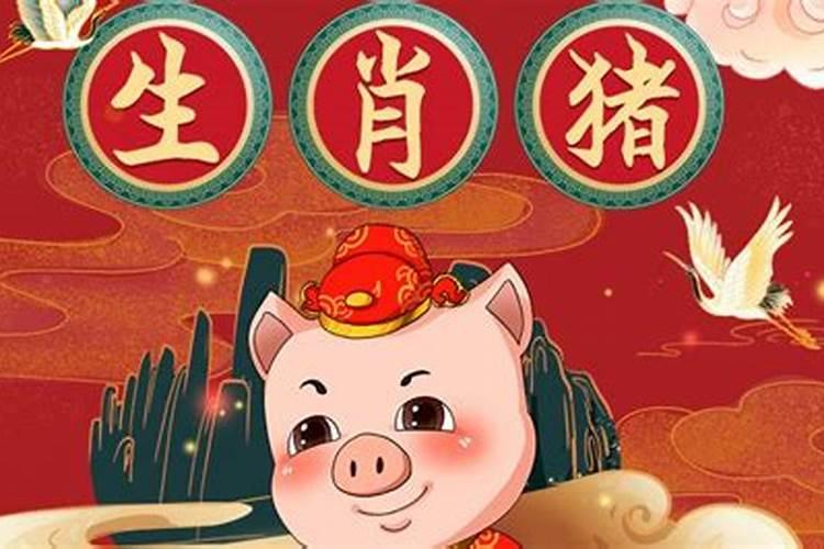 12属相属猪的今年运势