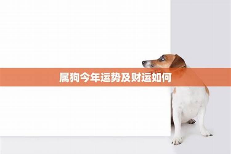 36岁属狗今年的运势