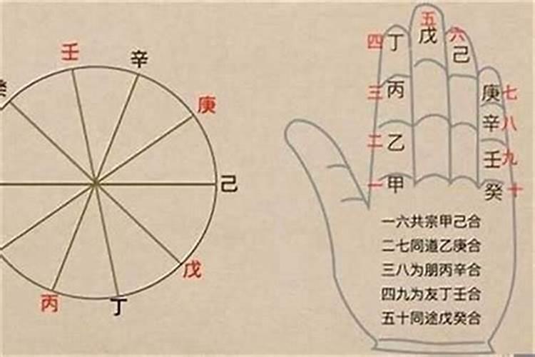 八字能合五个什么意思？