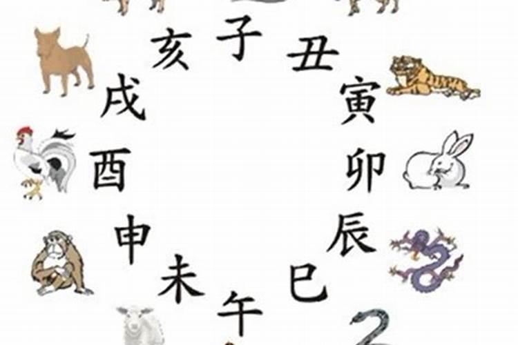 12属相婚配靠谱吗？