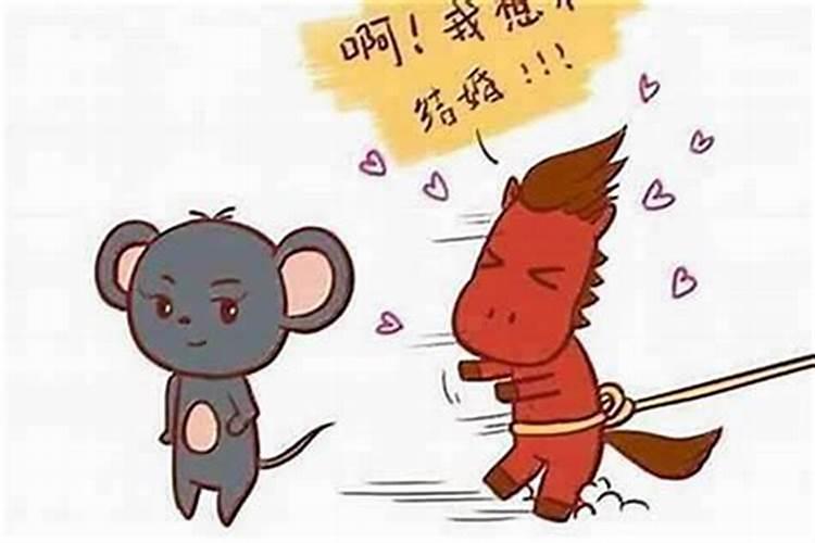 属相女鼠和男马婚配好吗？