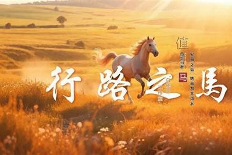 属马的本命年离婚又结婚