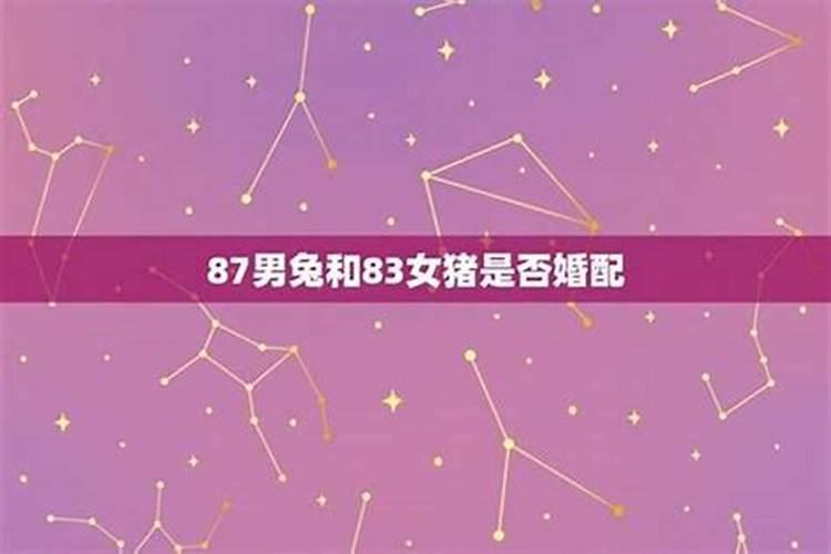 83猪与87兔合婚吗？