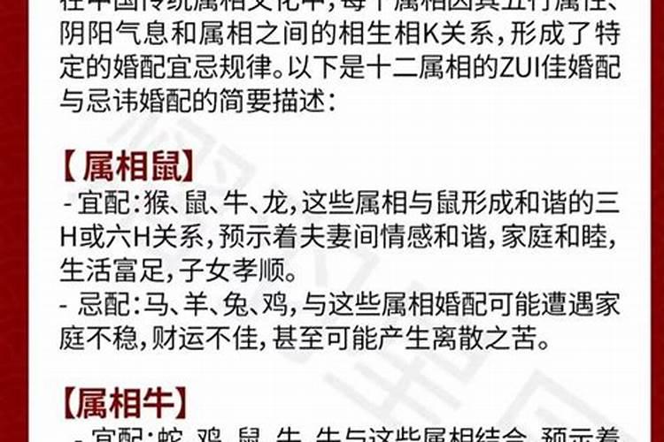 女属牛男属马合婚好吗？