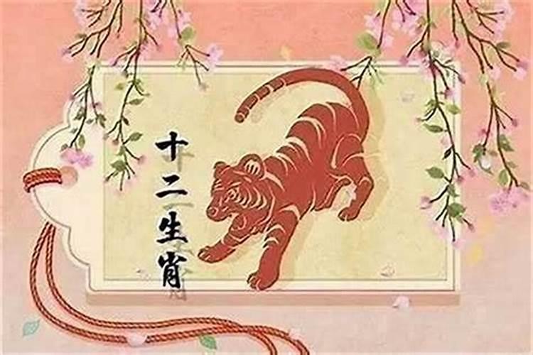 本命年戴什么转运属虎男同志？