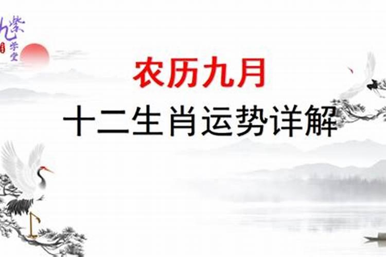 狗年属龙农历九月运程怎样？