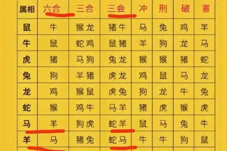 男属马马女属马合婚吗？