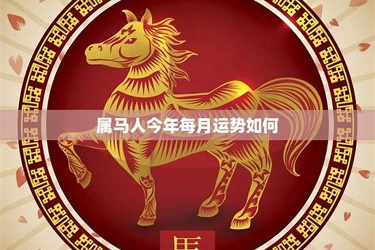 属马人今年感情运势