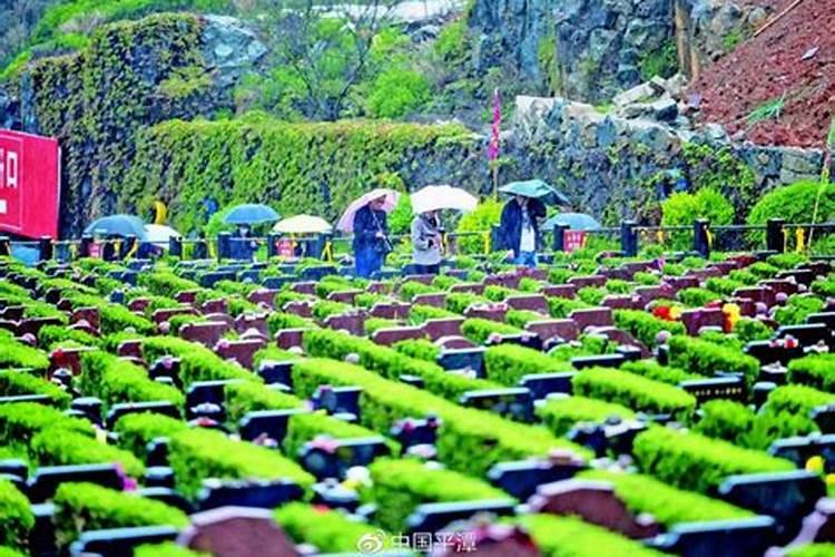 清明节祭扫真实案例