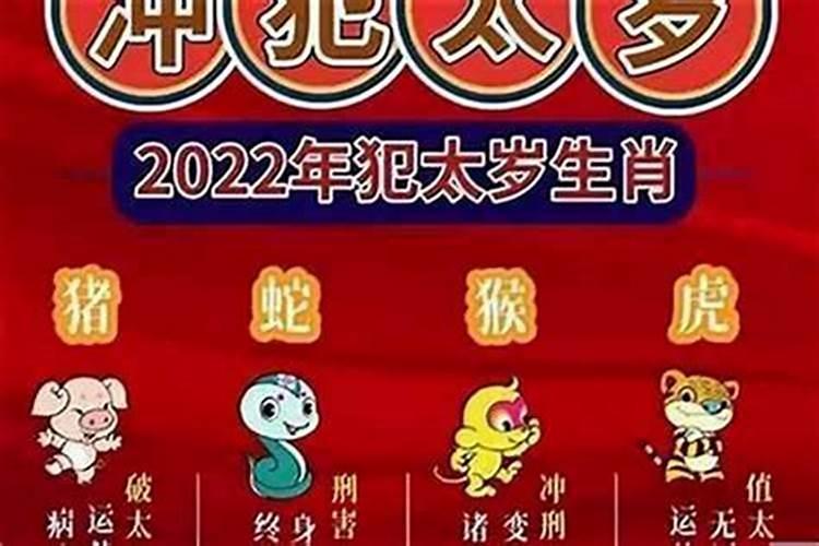 冲太岁年注意避免什么？