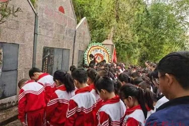 遂川清明祭扫