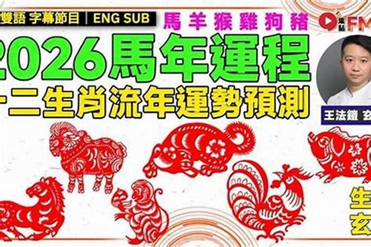 狗生肖2026年运程
