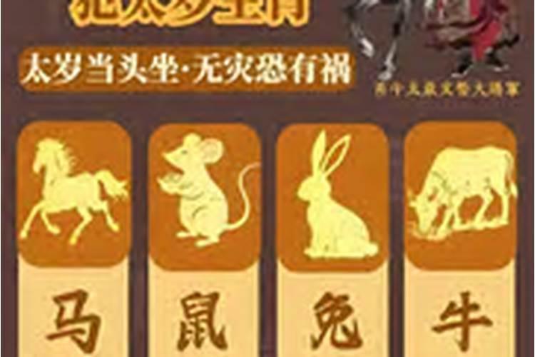 日柱犯太岁什么意思？