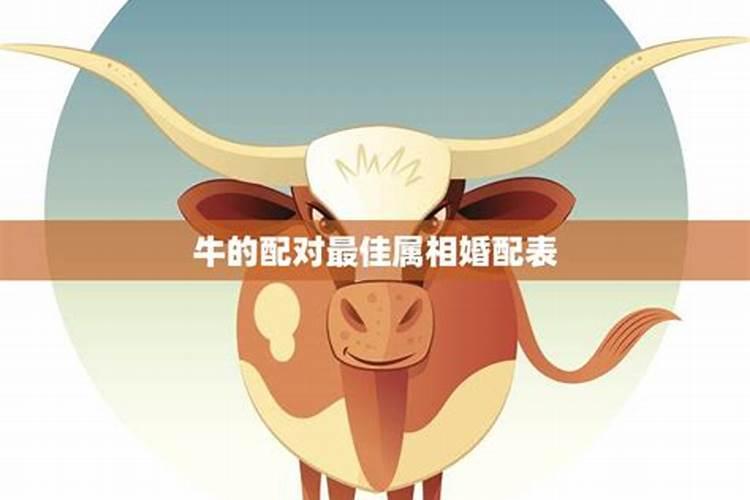 牛与哪些属相婚配？