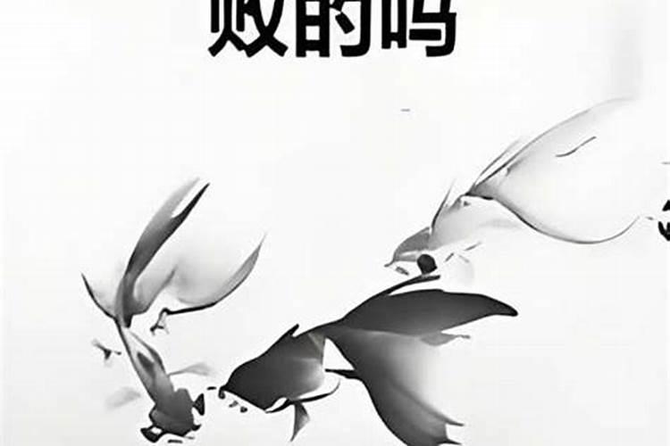失败的婚姻算亲人关系吗？