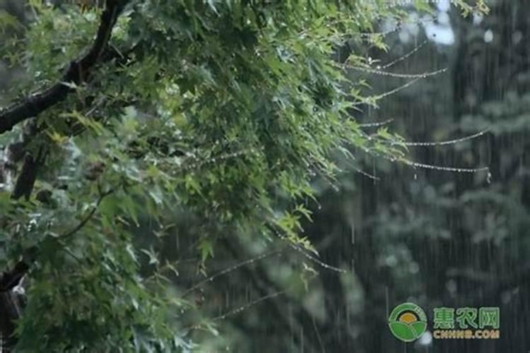 三月十五下雨好不好？
