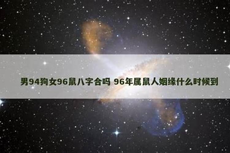 男狗女鼠八字合吗？