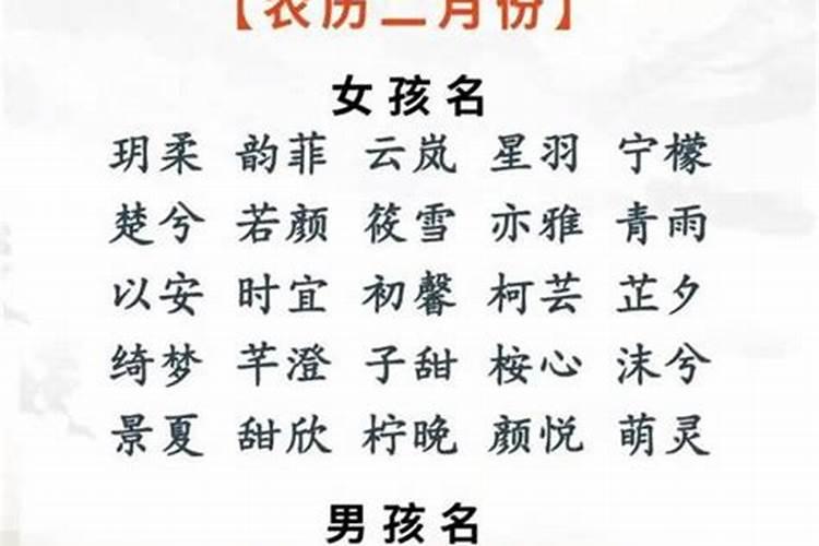 冬至出生的兔宝宝好不好？