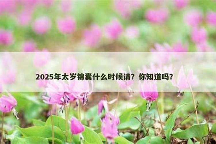 化太岁锦囊什么时候请都可以吗？