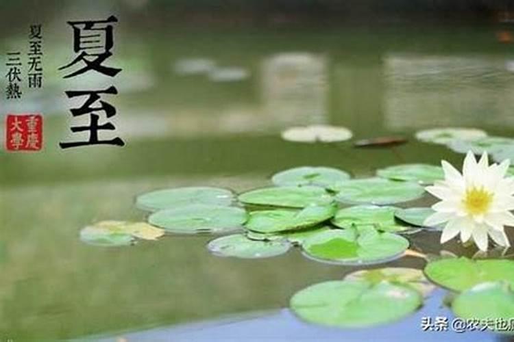 哪一天夏至呢？