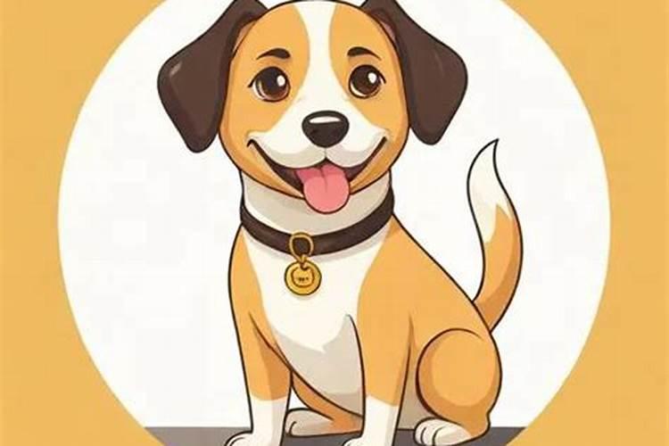 今年11月出生狗运势