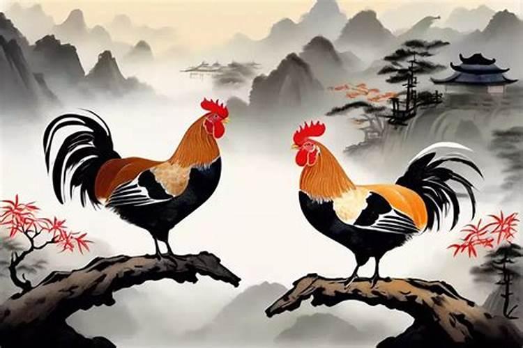 61岁的鸡今年运势