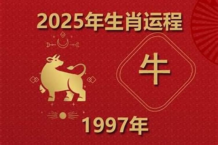 1997年出生牛人运程