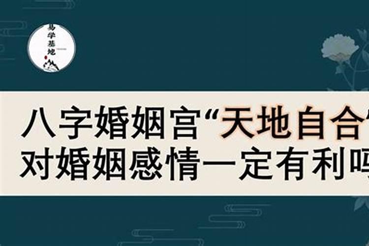 八字天地合利于感情吗？