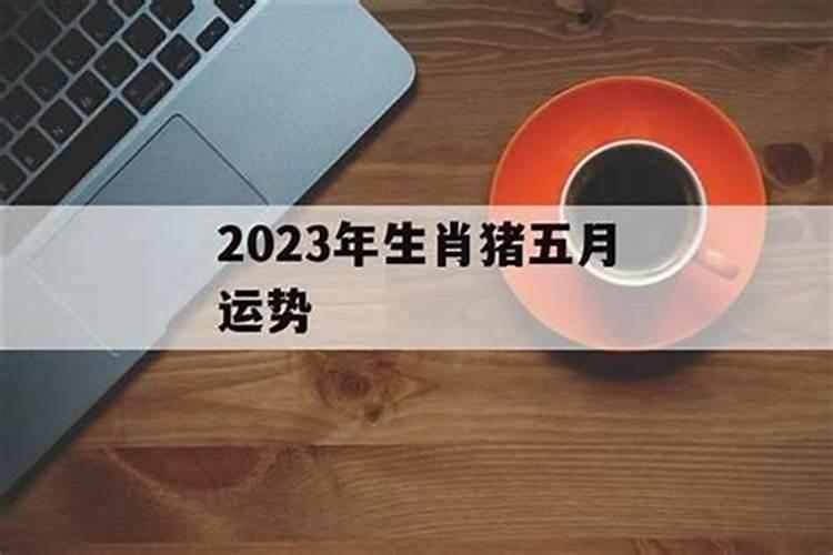 1972年5月出生今年的运程