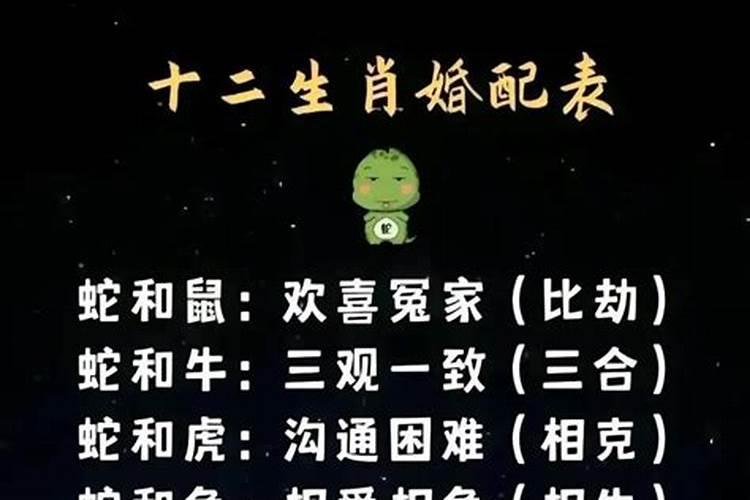 女属猴和男属狗合婚吗？