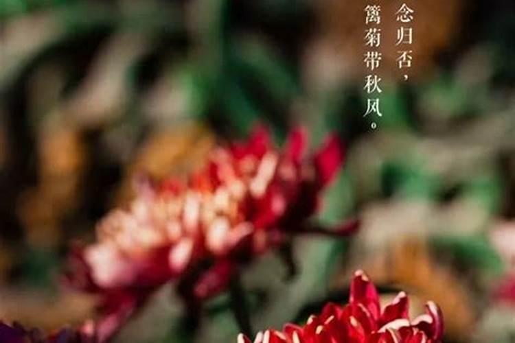 九月初九在那一年最不幸运