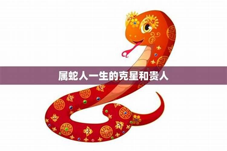 十月初一属蛇人的命运