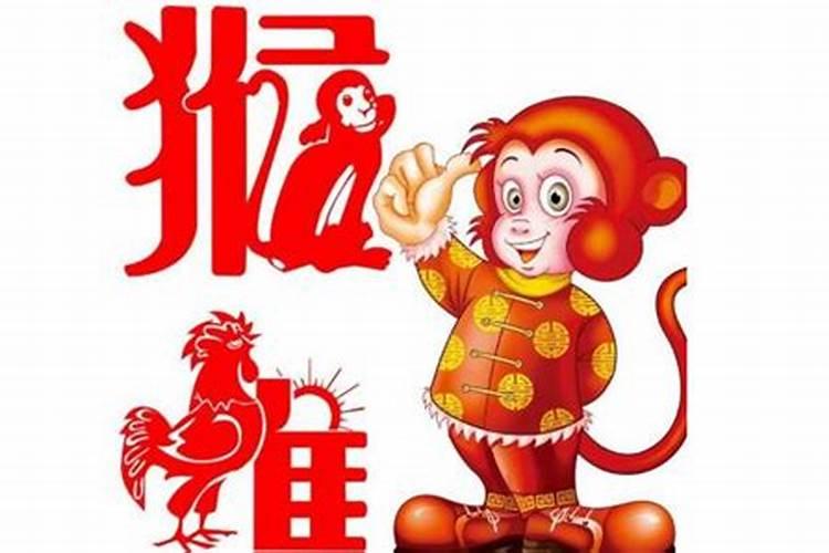 属相鸡猴婚配好吗？