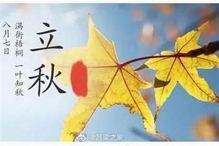 立秋后有几个节气分别是？